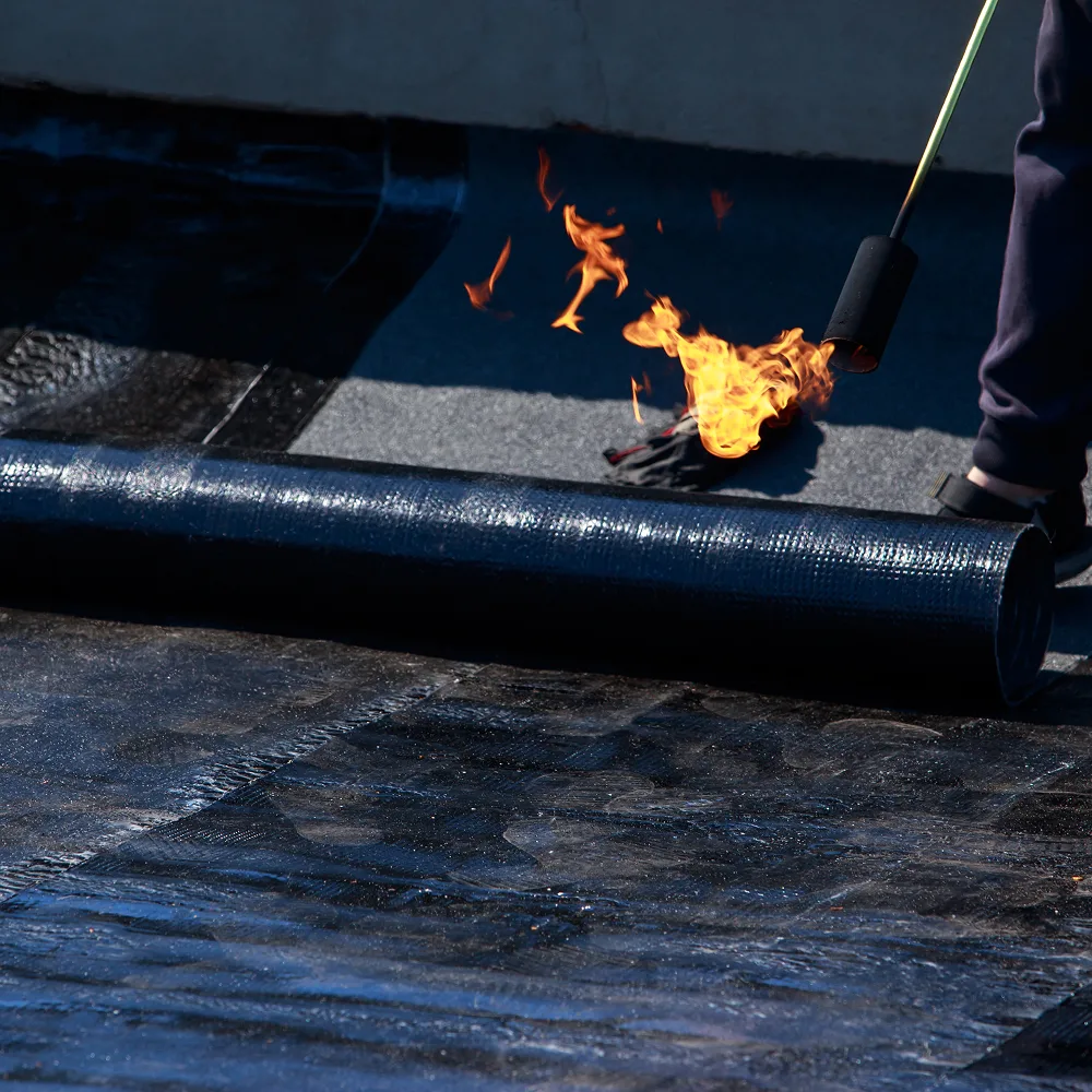 Infiltration d'eau sur toit plat : causes et solutions aux Nouillers